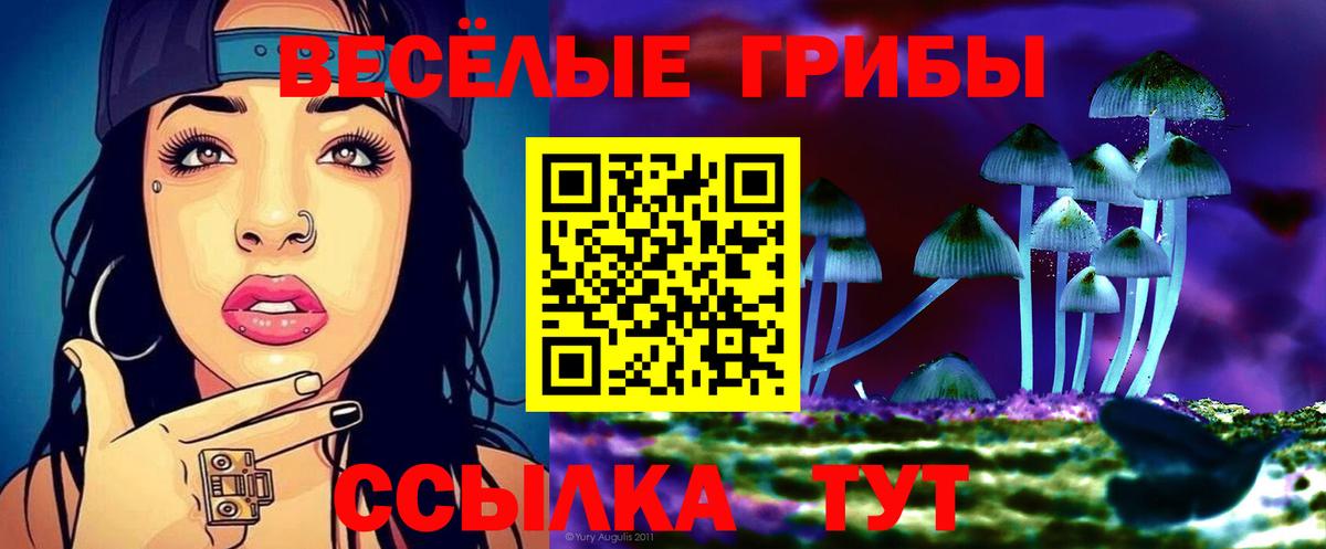 Псилоцибиновые грибы MAGIC MUSHROOMS  Вход с VPN  Псилоцибиновые грибы Psilocybine cubensis  Учалы 